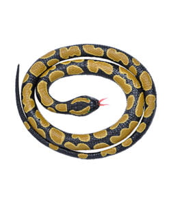 RUBER SNAKE - BALL PYTHON 117CM - ΠΥΘΩΝΑΣ KM-20775