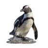 I AM PUZZLE JUNIOR - IA M LIL' PENGUIN IAM4004