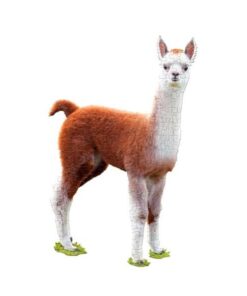 I AM PUZZLE JUNIOR - I AM LIL' LAMA IAM4011
