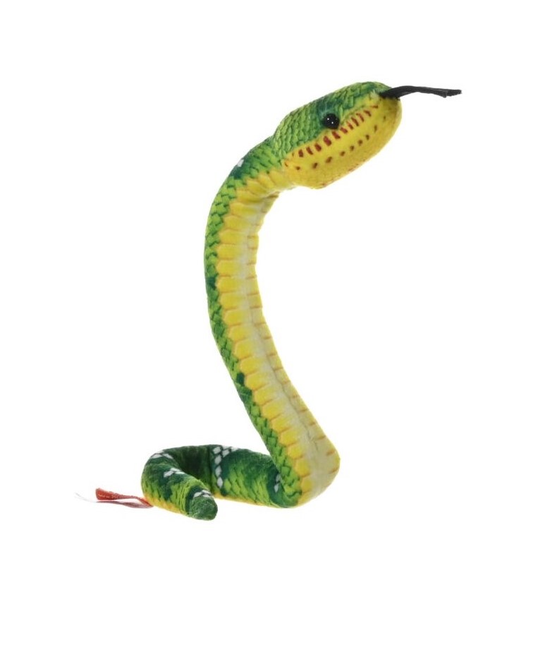 SNAKE EMERALD TREE BOA,COILKINS 30CM - KM-28411