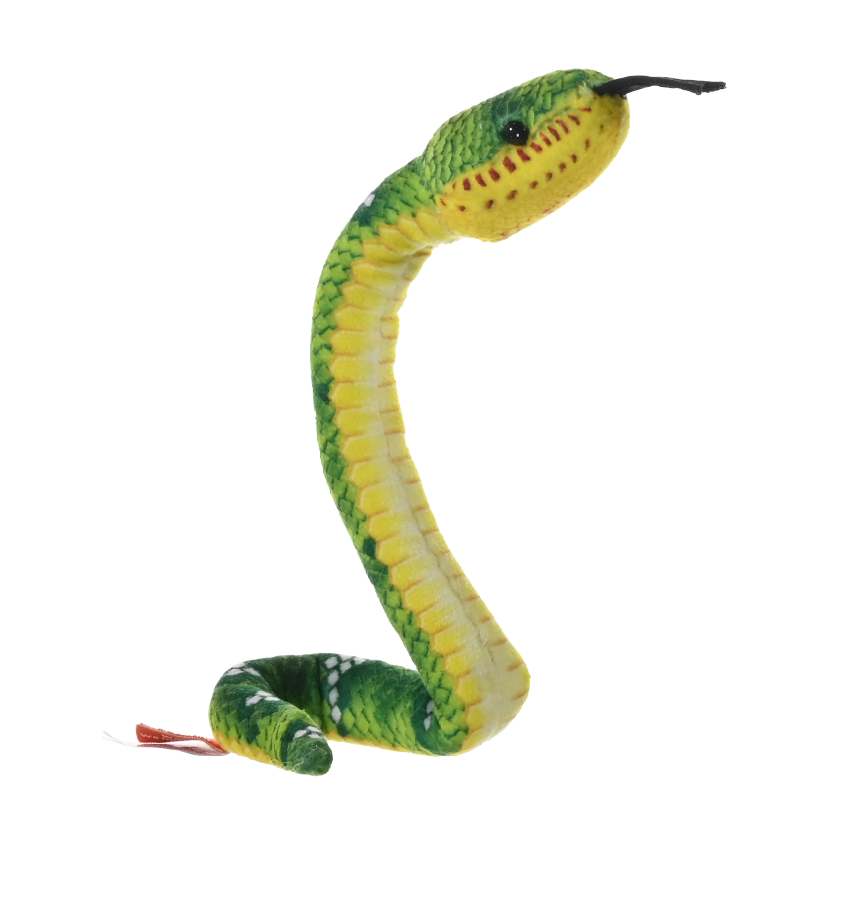 SNAKE EMERALD TREE BOA,COILKINS 30CM - KM-28411 - Image 2