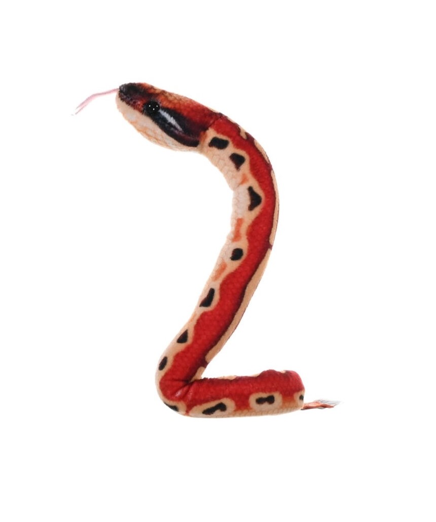 SNAKE BLOOD PYTHON,COILKINS 30CM - KM-28413