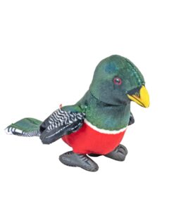 RAINFOREST COLLARED TROGON 11CM  KM-28400